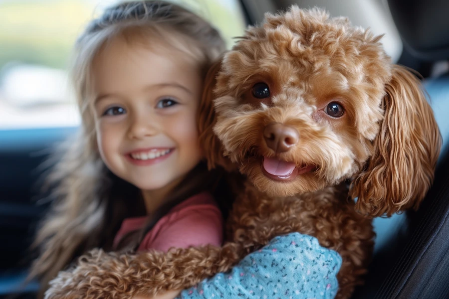 Discover the Joy of Traveling with Your Pooch: How a Booster Car Seat for Dogs Transforms Road Trips