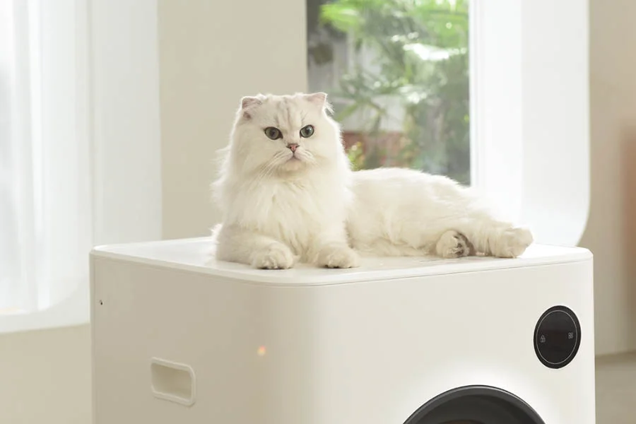 A Deeper Dive into the Best Multi Cat Automatic Litter Box