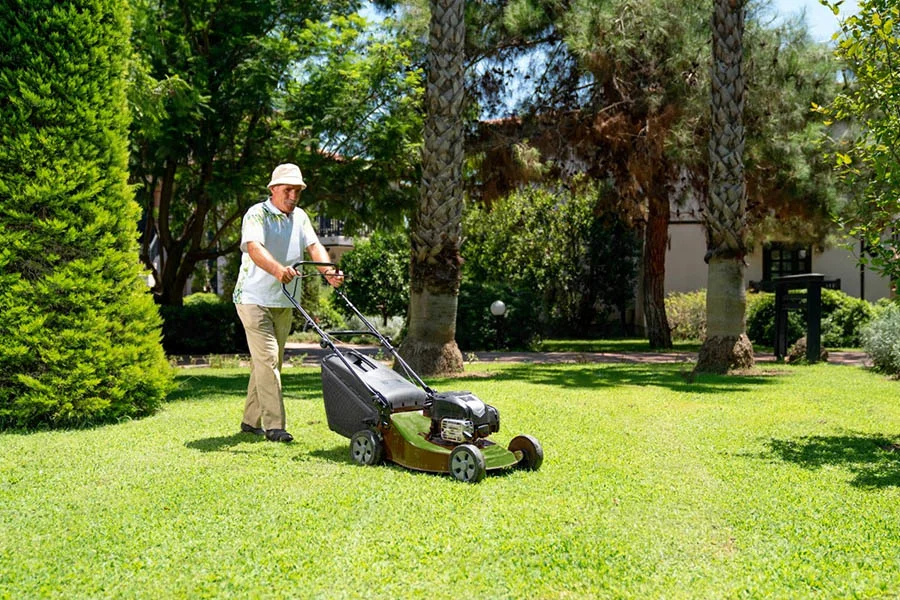 cordless electric lawn equipment